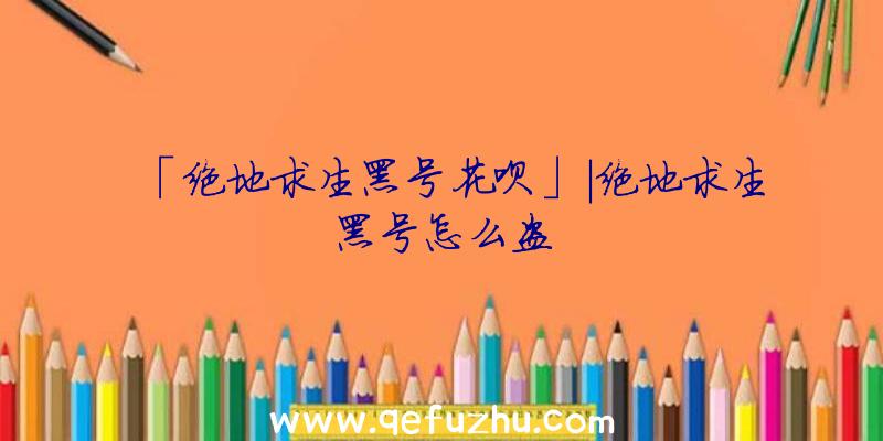 「绝地求生黑号花呗」|绝地求生黑号怎么盗